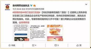 肉松饼爆料视频播放,揭秘网红美食背后的制作过程  第1张 肉松饼爆料视频播放,揭秘网红美食背后的制作过程  第1张