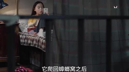 小孩爆料瞬间视频大全集,小孩爆料视频集锦回顾  第1张 小孩爆料瞬间视频大全集,小孩爆料视频集锦回顾  第1张