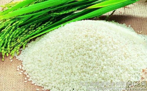 绿色大米爆料方法视频大全,视频大全解析  第1张 绿色大米爆料方法视频大全,视频大全解析  第1张